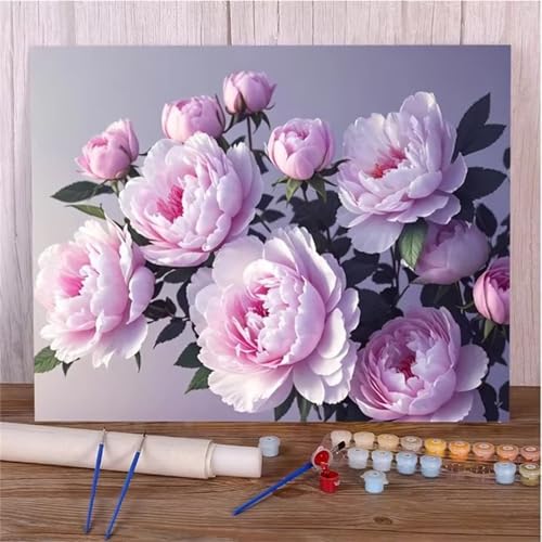 Aimaor Malen Nach Zahlen Erwachsene Rosa Pfingstrose,DIY Paint by Numbers Kit mit 3-Pinseln und Acrylfarbe Leinwand Handgemalt Ölgemälde für Home Decor(Rahmenlos) - 50x65cm von Aimaor