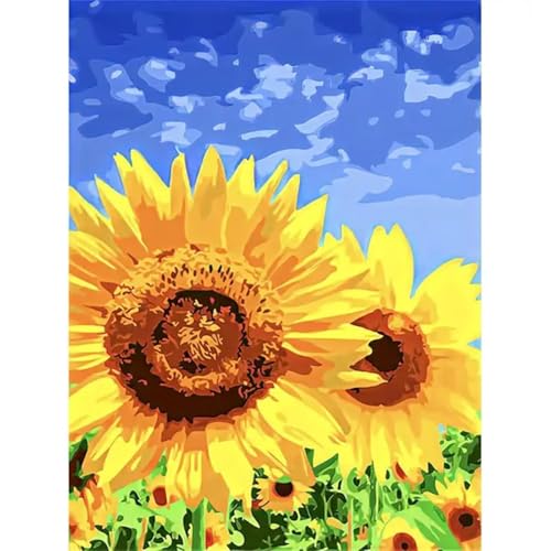 Aimaor Malen Nach Zahlen Erwachsene Sonnenblume pflanzen,Anfänger Paint by Numbers,mit Pinseln und Acrylfarben Handgemalt Ölgemälde Leinwand(Ohne Rahmen),zur Heimdekoration - 45x60cm von Aimaor