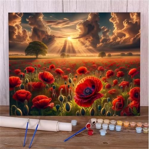 Aimaor Malen Nach Zahlen Erwachsene Wolkenmohn,DIY Paint by Numbers Kit mit 3-Pinseln und Acrylfarbe Leinwand Handgemalt Ölgemälde für Home Decor(Rahmenlos) - 30x40cm von Aimaor