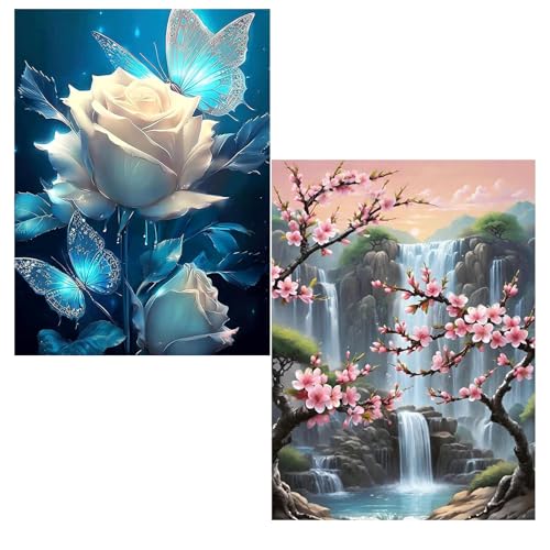 2er Diamond Painting Blumen 5D Diamant Painting Set Daiments Painting Erwachsene Diamant Painting Nette Diamant Beschichtung Stereoskopische Schirm Wand Hängen Werkzeug 30x40cm (Pflaumenblütenrose) von Aimorty