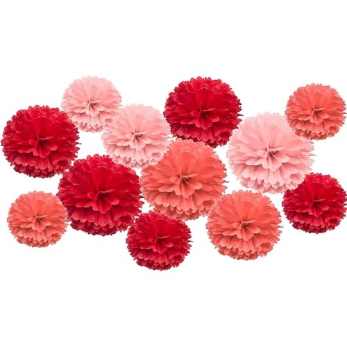 Ainmto 12 Stück Seidenpapier Pompons Rot,Party Pompons Deko für Geburtstag, Hochzeit von Ainmto