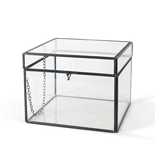 Aioneer Schmuckschatullen quadratischer Schmuck-Organizer aus Glas transparentes Öffnen und Schließen Schmuckvitrine Schmuckschatulle für Damen von Aioneer