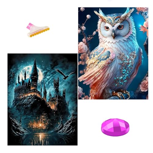 Aiuorty 2 Pack Diamond Painting,Diamant Painting bilder Erwachsene set for Kinder Kids DIY 5D Diamond Art Malerei Beginners Gift Wand Dekor 30x40cm (Eulen) von Aiuorty