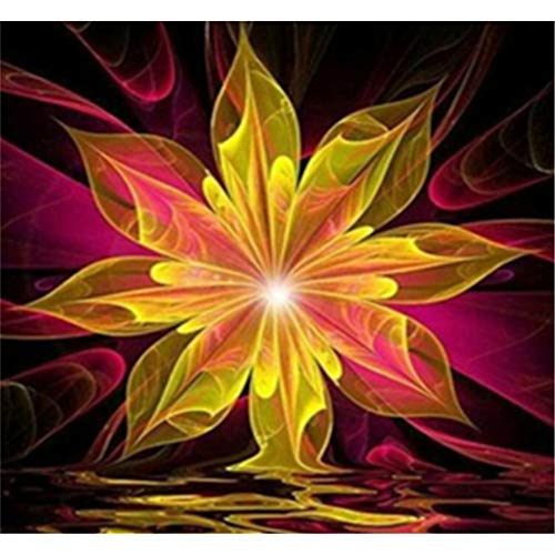 Aiuorty 5D Diamond Painting Blume Diamond Painting Erwachsene - Diamant Painting Bilder DIY Diamantmalerei Wand Dekor Handwerk Diamantstickerei (C, 30 * 30 CM) von Aiuorty