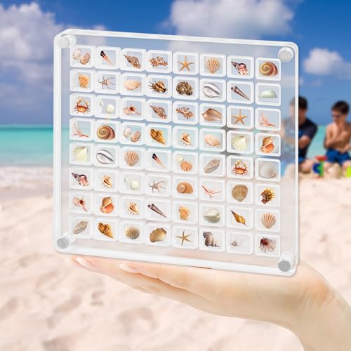 Aiyomi 64 Fächer Acrylic Magnetic Seashell Display Box, Muschel Aufbewahrungsbox mit Schlitz, Klare Muschel-Aufbewahrungsbox, Muschel-Vitrine für Muscheln, Diamanten, Perlen, Nägel,Edelsteine von Aiyomi