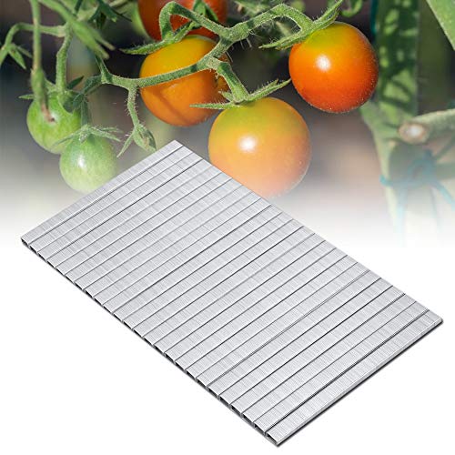 Akozon 10000 Stück Tackernadeln, Heftklammern, Tacker, Pflanzenbindemaschine Klammern 604C Tomate Rebe Binder Nagel Tapetool Garten Nagel Zweig Binden Nagel für Tomaten, Gurken, Trauben, Paprika von Akozon