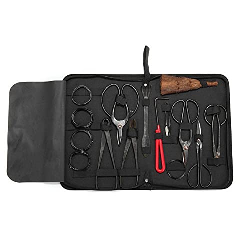 Alacritua Bonsai Tools Tool Kit, Bonsai Tools aus Kohlenstoffstahl mit Nylonbox, Anfänger Bonsai Gardening Kit, Gartengeräte für Gartenbeschneidung, 10 Stück von Alacritua