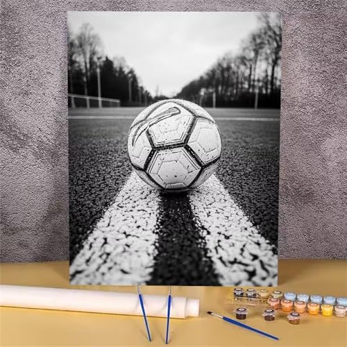 Fußball Malen Nach Zahlen Erwachsene, Malen Nach Zahlen Landschaft, DIY Handgemalt Ölgemälde Kit, Mit Pinseln und Acrylfarbe, zur Heimdekoration und Mädchen Geschenkes (Rahmenlos, 30x40 cm) GH-398 von Alaoan