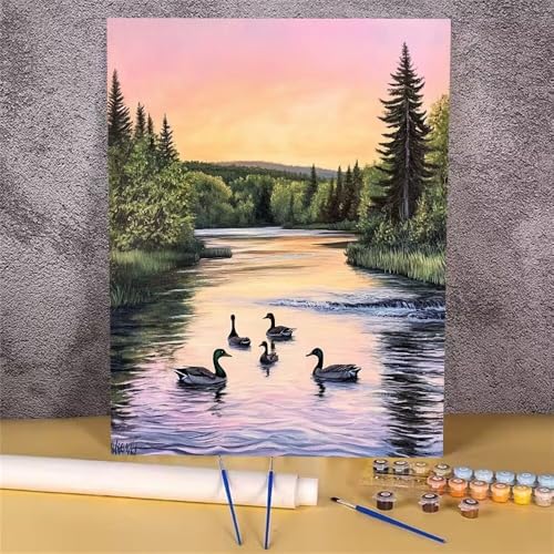 Malen Nach Zahlen Erwachsene Ente, Malen Nach Zahlen See, DIY Handgemalt Ölgemälde Leinwand Kits für Anfänger, Mit Pinsels und Acrylfarbe Als Geschenkes und Heimdekoration, Ohne Rahmen 70x90 cm GH-607 von Alaoan