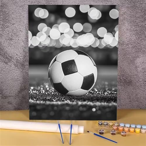 Malen Nach Zahlen Erwachsene Schwarz,Malen Nach Zahlen Fußball,Handgemalt Ölgemälde Leinwand Kits für Anfänger,Mit Pinsels und Acrylfarbe Als Geschenkes und Heimdekoration,Ohne Rahmen 20x30 cm GH-397 von Alaoan