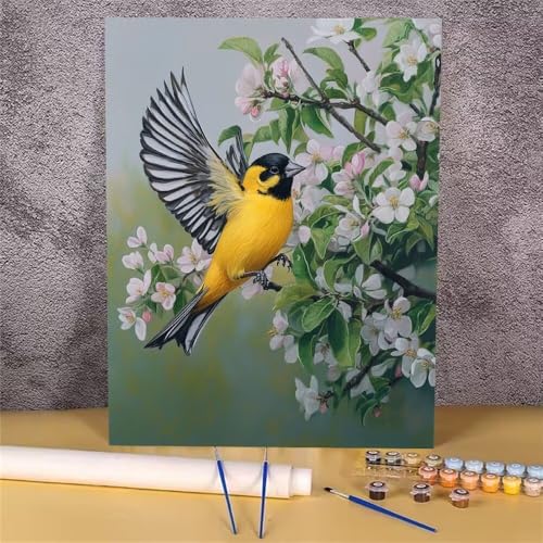 Malen Nach Zahlen Erwachsene Vogel,Malen Nach Zahlen Blume,DIY Handgemalt Ölgemälde Leinwand Kits für Anfänger,Mit Pinsels und Acrylfarbe Als Geschenkes und Heimdekoration,Ohne Rahmen 30x40 cm GH-1072 von Alaoan