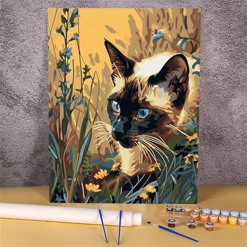 Malen Nach Zahlen Katze,Tier Malen Nach Zahlen Erwachsene,DIY Handgemalt Ölgemälde Leinwand Kits,Anfänger Erwachsene Paint by Numbers Malen Nach Zahlen zur Heimdekoration,Kein Rahmen 30x40 cm GH-1230 von Alaoan