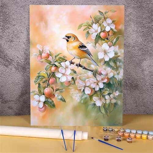 Malen Nach Zahlen Vogel,Blume Malen Nach Zahlen Erwachsene,DIY Handgemalt Ölgemälde Leinwand Kits,Anfänger Erwachsene Paint by Numbers Malen Nach Zahlen zur Heimdekoration,Kein Rahmen 40x50 cm GH-1074 von Alaoan