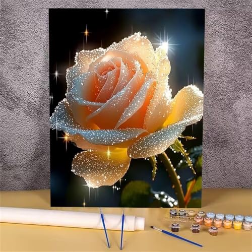 Rose Malen Nach Zahlen Erwachsene,Malen Nach Zahlen Blume,DIY Handgemalt Ölgemälde Kit für Erwachsene,Mit Pinseln und Acrylfarbe,zur Heimdekoration und Mädchen Geschenkes (Rahmenlos,30x40 cm) GH-410 von Alaoan