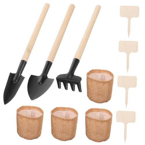 Alipis 1 Satz Gartenwerkzeug-Set Gartenarbeit zubehör Gartenhandwerkzeuge Gartengeräte für die Gartenarbeit Bonsai-Kit Mini-Schaufel Werkzeuge für Sukkulenten Mini-Gartengeräte Leinen- von Alipis