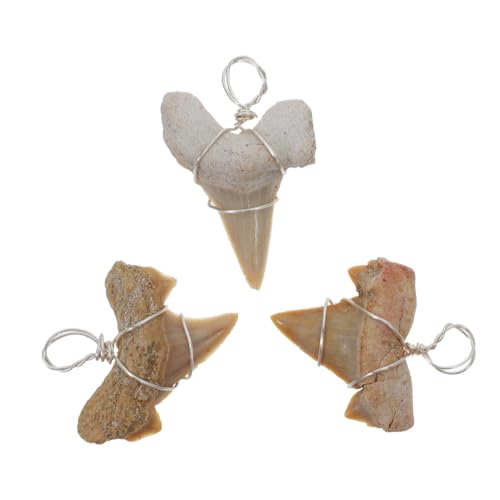 Alipis 3st Anhänger Muschelkette Für Männer Nieten Plüsch Zucht Schmuck Strand Halskette Charme Beißkette Zahnen Hai-armband Perlen Zäh Kleine Creolen Aufkleber Beige von Alipis