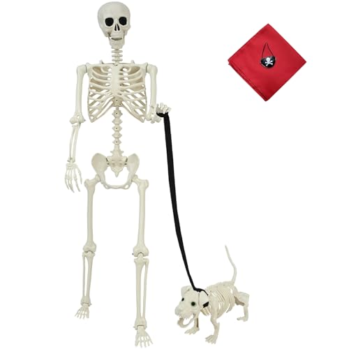 Alishomtll Halloween Skelett und Skelett Hund Set, 165cm Leben Größe Menschliche Erwachsene Skelett Plastik Menschliche Knochen Bewegliche Gelenke, mit Pirat Bandana Augenklappe Halloween Dekoration von Alishomtll