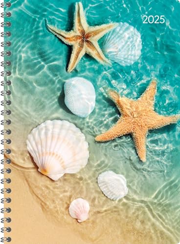 Alpha Edition - Ladytimer Ringbuch Beach 2025, 15x21cm, Kalender mit 128 Seiten, Kalender mit einem Adressteil, Übersichten und internationalem Kalendarium, Wochenübersicht auf 2 Seiten von Alpha Edition