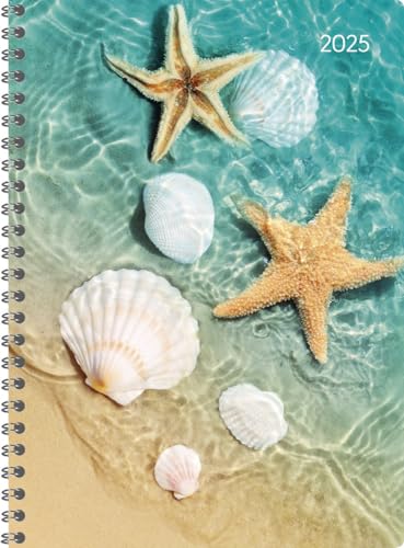 Alpha Edition - Ladytimer Ringbuch Beach 2025, 15x21cm, Kalender mit 128 Seiten, Kalender mit einem Adressteil, Übersichten und internationalem Kalendarium, Wochenübersicht auf 2 Seiten von Alpha Edition