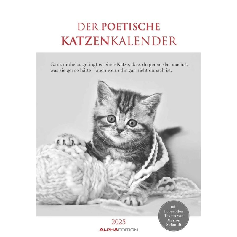 Alpha Edition - Der Poetische Katzenkalender 2025 Bildkalender, 23,7X34cm, Wandkalender Mit Platz Für Notizen Und Vielen Infos, Fröhliche Katzenbilder von Alpha-Edition