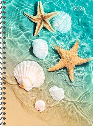 Ladytimer Ringbuch Beach 2024 - Taschen-Kalender A5 (15x21 cm) - Schüler-Kalender - Weekly - Ringbindung - 128 Seiten - Alpha Edition von Alpha Edition