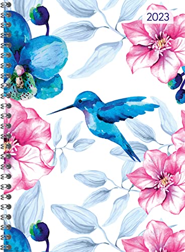 Ladytimer Ringbuch Hummingbird 2023 - Taschen-Kalender A5 (15x21 cm) - Schüler-Kalender - Weekly - Ringbindung - 128 Seiten - Alpha Edition von Alpha Edition