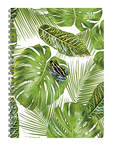 Ladytimer Ringbuch Jungle 2021 - Taschen-Kalender A5 (15x21 cm) - Schüler-Kalender - Weekly - Ringbindung - 128 Seiten - Alpha Edition von Alpha Edition