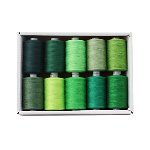 Amagogo Nähgarn Kits, 12 n Polyester 1000 Yards Nähen Und Sticken von Hand, GRÜN von Amagogo