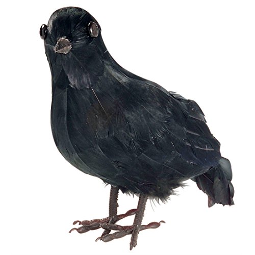 Amakando Deko Krähe Schwarzer Rabe echte Federn Gothic Vogel Horror Dekofigur Raumdeko Rabenvogel Sagen und Märchen Raumdekoration von Amakando