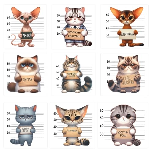 9 lustige Katzenaufkleber zum Aufbügeln für Kleidung, zum Aufbügeln auf Wärmetransfer-Flicken, Vinyl-Aufkleber für Kleidung, T-Shirts, Taschen, Kissenbezüge von Amazingxy