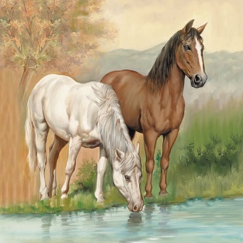 Ambiente Servietten Lunch / Party / Fest ca. 33x33cm Horses - Pferde - Ideal als Geschenk von Ambiente