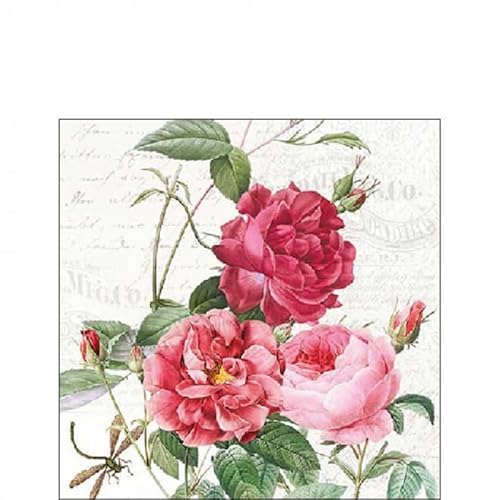 20 Servietten Cocktail Amber Rot/Rosa Blumen - Pflanzen Kollektion ca. 25 cm, 3-lagig/Party Tischdekoratio von Ambiente