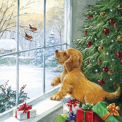 20 Servietten Weihnachten Hund beobachtet Vögel am Fenster als Tischdeko. Papierservietten mit Motiv. Auch für Decoupage und Serviettentechnik 33x33cm von Ambiente