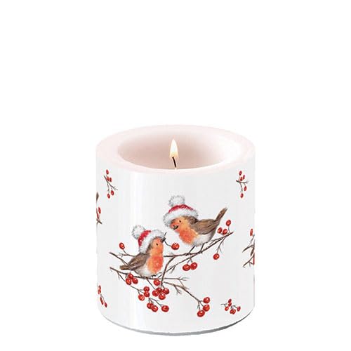 Ambiente Kerze Stumpenkerze Wachswindlicht Dekorationskerze 9 cm hoch Paraffinwachs 35h Brenndauer Vögel Zweige Weihnachten Advent Serie christmas robins von Ambiente