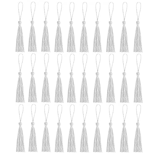 30 Stück Lesezeichen-Quasten, Mini-Quasten, seidige Quasten für Lesezeichen, handgefertigte Lesezeichen, Quasten für Harz, Bastelbedarf und Heimdekoration (Silber weiß) von Amdonalo