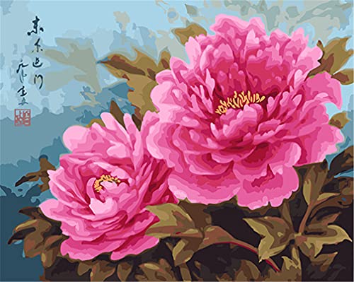 Amiiba Malen nach Zahlen-Kits, Pink Pfingstrose Blumen 40,6 x 50,8 cm Acryl Malen nach Zahlen Wandkunst Basteln (Pfingstrose, ohne Rahmen) von Amiiba