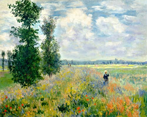 Amiiba Malen-nach-Zahlen-Set, Mohnfeld von Monet, 40,6 x 50,8 cm, Acryl-Malen-nach-Zahlen, Wandkunst, Kunsthandwerk (Mohnblumen, ohne Rahmen) von Amiiba