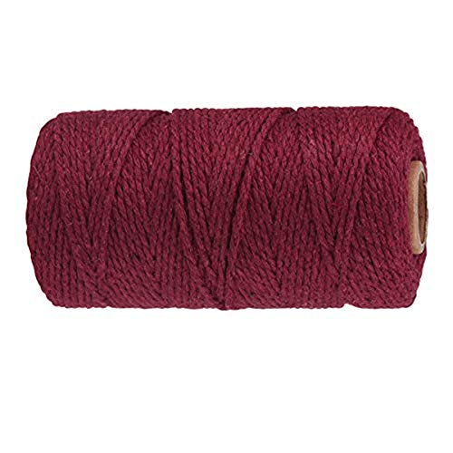 Amini Baumwollgarn Baumwollschnur 2mm x 100m Makramee Baumwolle DIY Handwerk Baumwollseil Natürliche Baumwollkordel Garn zum Stricken Makramee Blumenampel Wandbehang (a20) von Amini