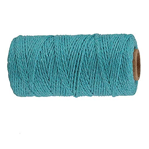 Amini Baumwollgarn Baumwollschnur 2mm x 100m Makramee Baumwolle DIY Handwerk Baumwollseil Natürliche Baumwollkordel Garn zum Stricken Makramee Blumenampel Wandbehang (a5) von Amini