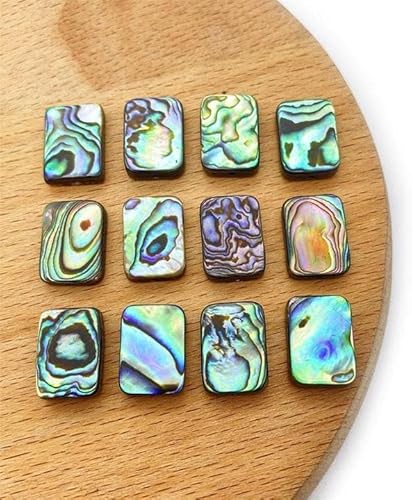 Amlhy Abalone-Paua-Muschelperlen, rechteckige Form, Muschelperlen für DIY-Ohrringe, Armbänder, Halsketten, Schmuckherstellung, 8 x 10 mm, 4 Stück von Amlhy