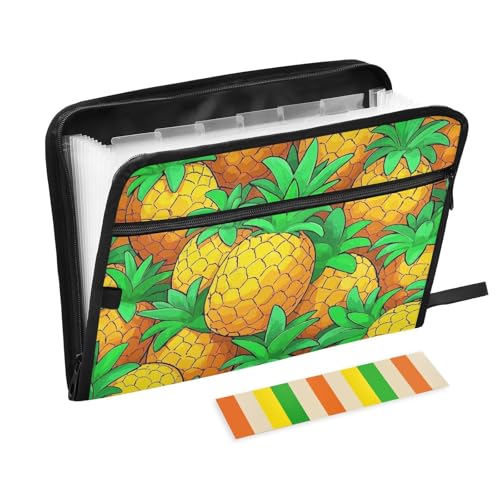 Dokumentenmappe mit niedlichem Cartoon-Motiv und Ananas, erweiterbar, 13 Taschen, A4, Briefgröße, Papier-Organizer, Ordner mit Reißverschluss, Ordner mit Etiketten für Dokumentenaufbewahrung von Amooorous