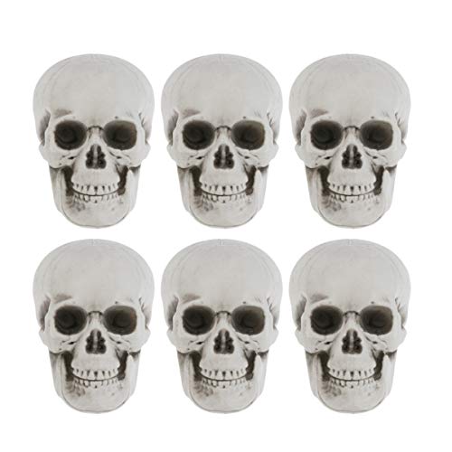 Amosfun 6 x Halloween-Skelette, Kunststoff, realistisch, menschlicher Totenkopf, Knochenmodell, Geisterhaus-Requisiten, Halloween-Partyzubehör von Amosfun