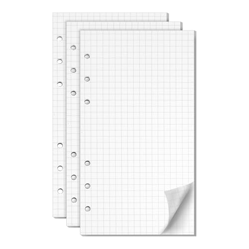 3 Packungen A6 Nachfüllpapier Kariert, 180 Blätter 6 Löcher A6 Nachfüllbare Refill Paper A6 Papier, Nachfülleinlagen Loose Notizpapier A6 Refill Paper für Binder Notizbuch Tagbuch Skizze von Amusingtao