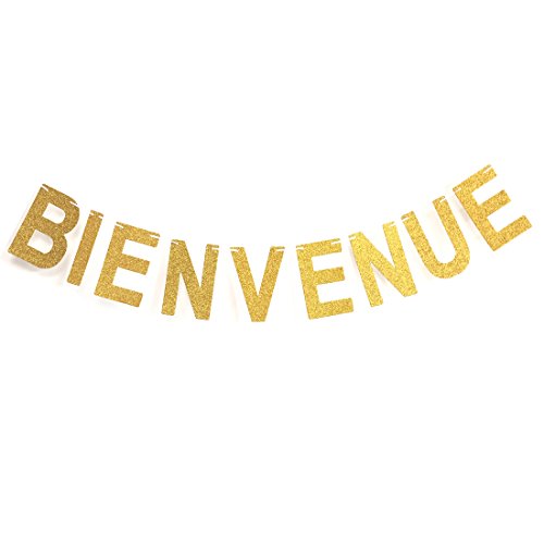 Andgo Glitter Bienvenue Bannière Garland Bunting Poudre éclair Lettres sur Blanc Bunting Classy Multicolore Party Décorations … von Andgo