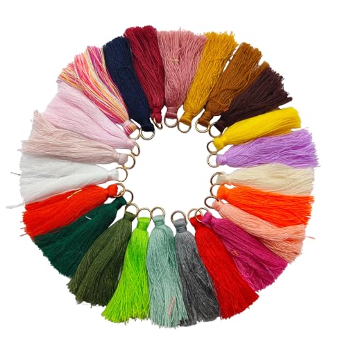 100 Stück Mini Quasten, 5 cm Bunte Quaste Handgemachte Quast mit Ring, Quasten Anhänger Weiche Quasten für DIY Handwerk Schmuckherstellung Lesezeichen Souvenirs Quaste Ohrring,Gemischte Farben 100 Stück Mini Quasten, 5 cm Bunte Quaste Handgemachte Quast mit Ring, Quasten Anhänger Weiche Quasten für DIY Handwerk Schmuckherstellung Lesezeichen Souvenirs Quaste Ohrring,Gemischte Farben von Anevous