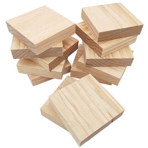 Unlackierte quadratische Holzblöcke zum Basteln, 10 x 10 x 2,5 cm, blanko, Kiefernholzbretter für Holzschnitzerei, DIY-Holzuntersetzer, Malen und Brennen, 12 Stück von Anktily