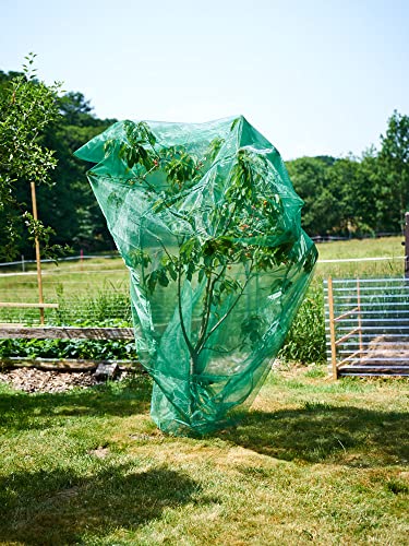 1 Frucht-Schutzbeutel mit Zugband. Zum Schutz vor Wespenfrass, Vögeln, Kirschessigfliege, anderen Insekten und Schnecken. Traubenschutz, Organzabeutel dunkelgrün (300x300 cm) von Anlaufs-Fruchtschutz24