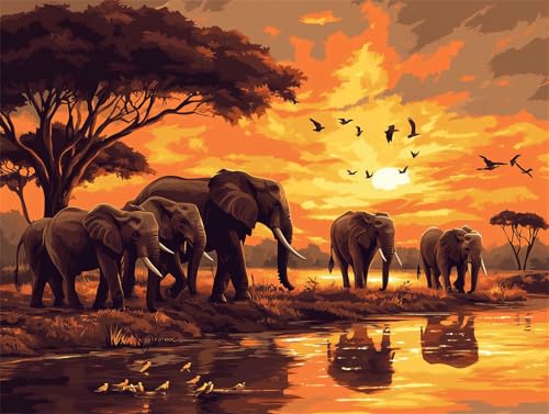 Malen Nach Zahlen Erwachsene Elefant Malen Nach Zahlen Sonnenuntergang Paint by Numbers Anfänger kinder,Handgemalt Ölgemälde Leinwand Kits mit Acrylfarben Bastelset,Home Deko,Frauen Geschenk 80x110cm von Anmiong