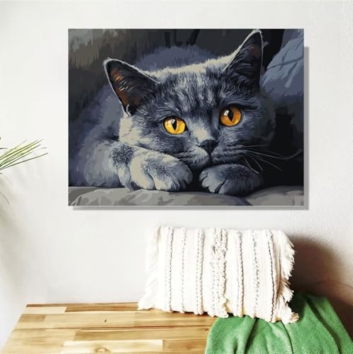 Malen Nach Zahlen Erwachsene Groß 120x90cm, Katze Malen Nach Zahlen Tier DIY Handgemalt Ölgemälde Leinwand Paint by Numbers Kit Mit Pinseln und Acrylfarbe Geschenke für Frauen (Mit Rahmen ) M-380 von Anmiong