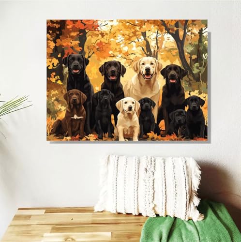 Malen Nach Zahlen Erwachsene Groß 40x50cm, Herbst Malen Nach Zahlen Hund DIY Handgemalt Ölgemälde Leinwand Paint by Numbers Kit Mit Pinseln und Acrylfarbe Geschenke für Frauen (Mit Rahmen ) M-469 von Anmiong